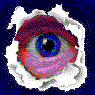 Get involved in Internet Privacy issues! CDA was only the start!