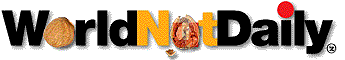 world nut, dully